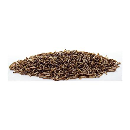 ESVE Meelwormen<br> 700 gr