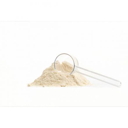 Aves Loridry 2,5 kg