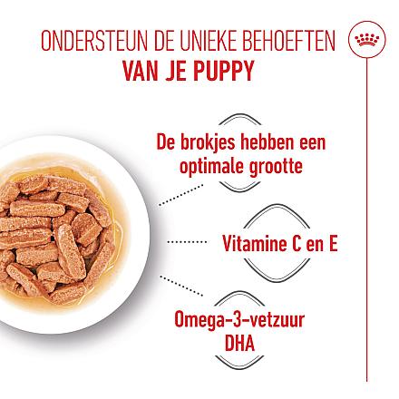 Royal Canin Hondenvoer Medium Puppy 10 x 140 gr