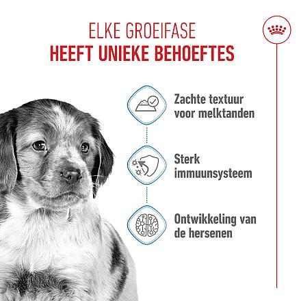 Royal Canin Hondenvoer Medium Puppy 10 x 140 gr