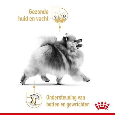 Royal Canin Hondenvoer Pomeranian Adult 3 kg