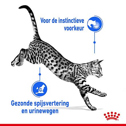 Royal Canin Kattenvoer Indoor in Gravy <br>12 x 85 gr