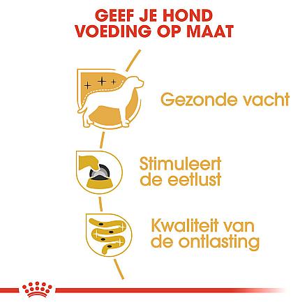 Royal Canin Hondenvoer Yorkshire Terrier Adult 12 x 85 gr