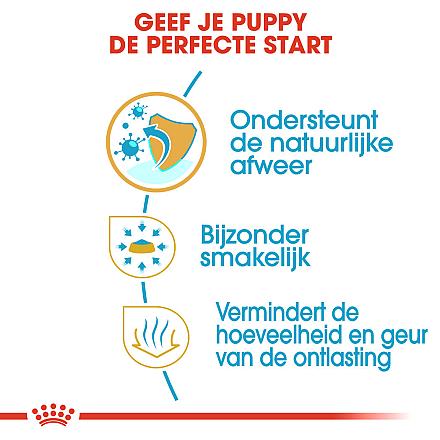 Royal Canin Hondenvoer Chihuahua Puppy 500 gr