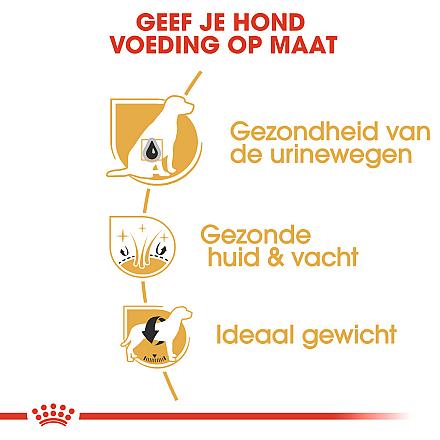 Royal Canin Hondenvoer Bichon Frise Adult 1,5 kg