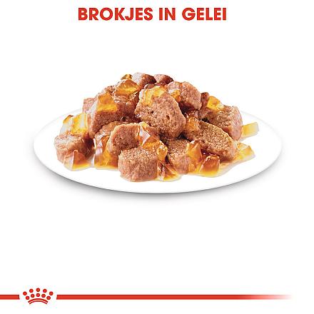 Royal Canin Kattenvoer Sterilised in Jelly <br>12 x 85 gr