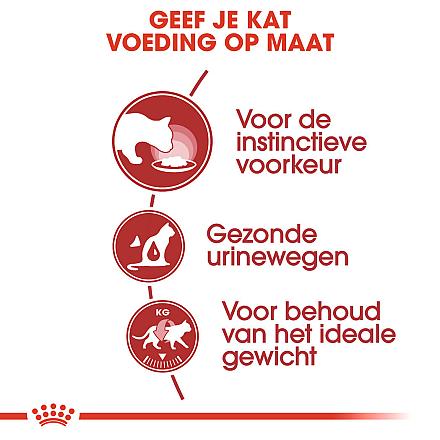 Royal Canin Kattenvoer Instinctive in Jelly <br>12 x 85 gr