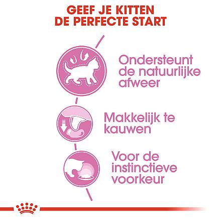 Royal Canin Kattenvoer Kitten in Jelly <br>12 x 85 gr