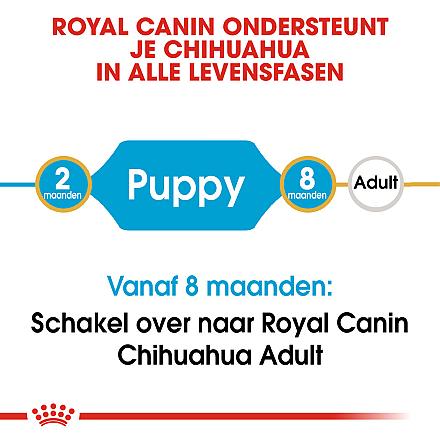Royal Canin Hondenvoer Chihuahua Puppy 1,5 kg