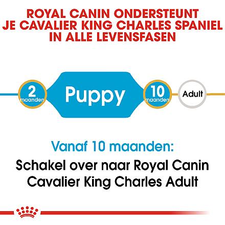 Royal Canin Hondenvoer Cavalier King Charles Puppy 1,5 kg