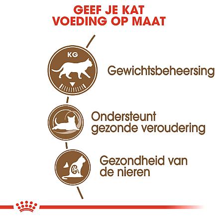 Royal Canin Kattenvoer Ageing 12+ 4 kg