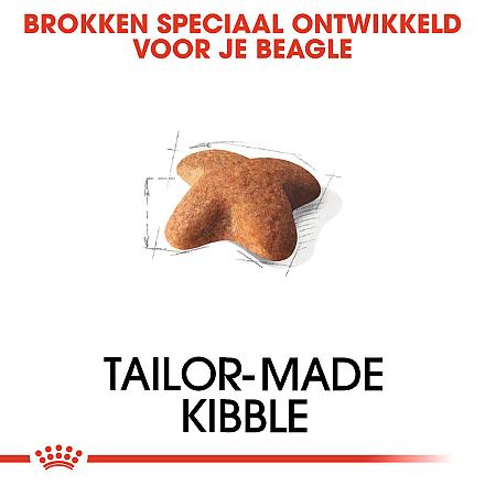 Royal Canin Hondenvoer Beagle Adult 3 kg