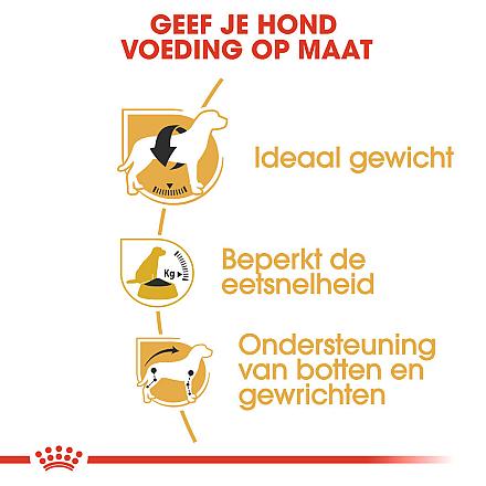 Royal Canin Hondenvoer Beagle Adult 3 kg