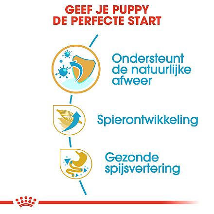 Royal Canin Hondenvoer Boxer Puppy 12 kg