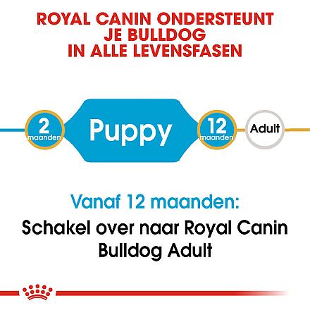 Royal Canin Hondenvoer Bulldog Puppy 3 kg