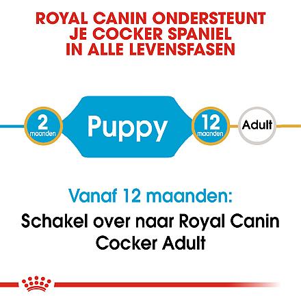 Royal Canin Hondenvoer Cocker Puppy 3 kg