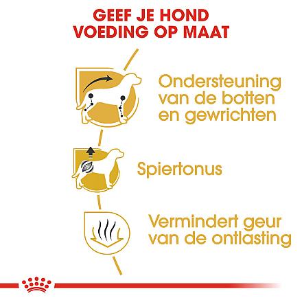 Royal Canin Hondenvoer Dachshund Adult 7,5 kg
