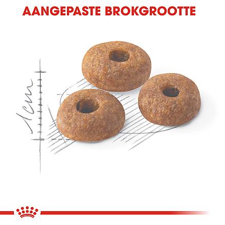Royal Canin Kattenvoer Fit 32 4 kg