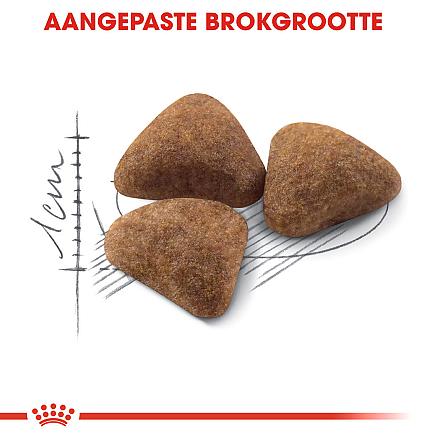 Royal Canin Kattenvoer Indoor 27 4 kg