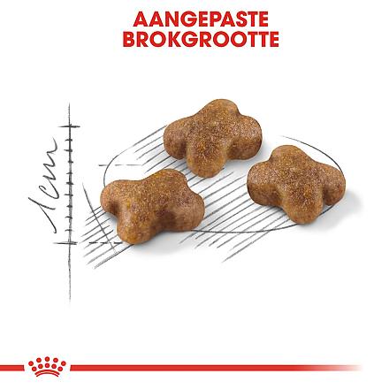 Royal Canin Kattenvoer Kitten 2 kg