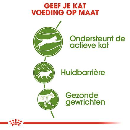 Royal Canin Kattenvoer Outdoor 10 kg