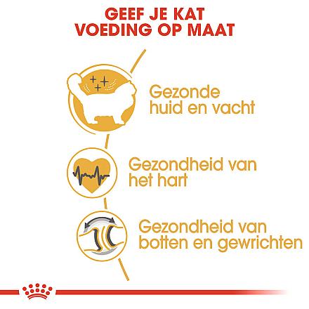 Royal Canin Kattenvoer Ragdoll Adult 10 kg