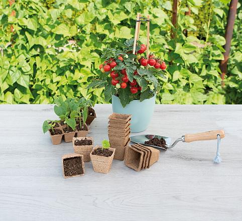 Sogo Biologische Turfpotjes 6 cm Vierkant