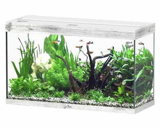 Aquatlantis aquarium Splendid 100 Cleansys Pro Whitewash