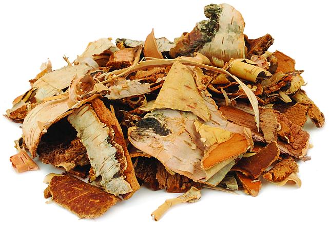 ESVE Knaaghout Knaagdier Schors