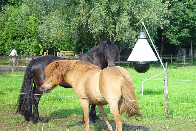 Dazenval Loer compleet