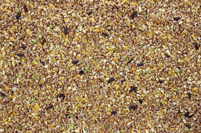 Ardeens Graan 5 kg