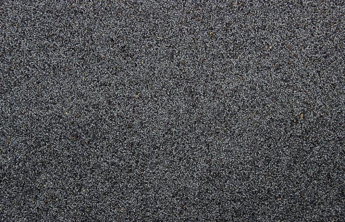 Blauwmaanzaad 1 kg