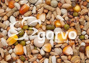 Garvo G-Spirits Kweek 20 kg