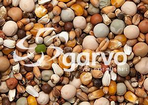 Garvo Prestige Junior Groei 20 kg