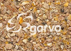 Garvo Junior Solution 20 kg